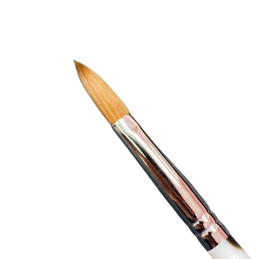 Crimped Marble Brush # 10 - 100% Kolinsky