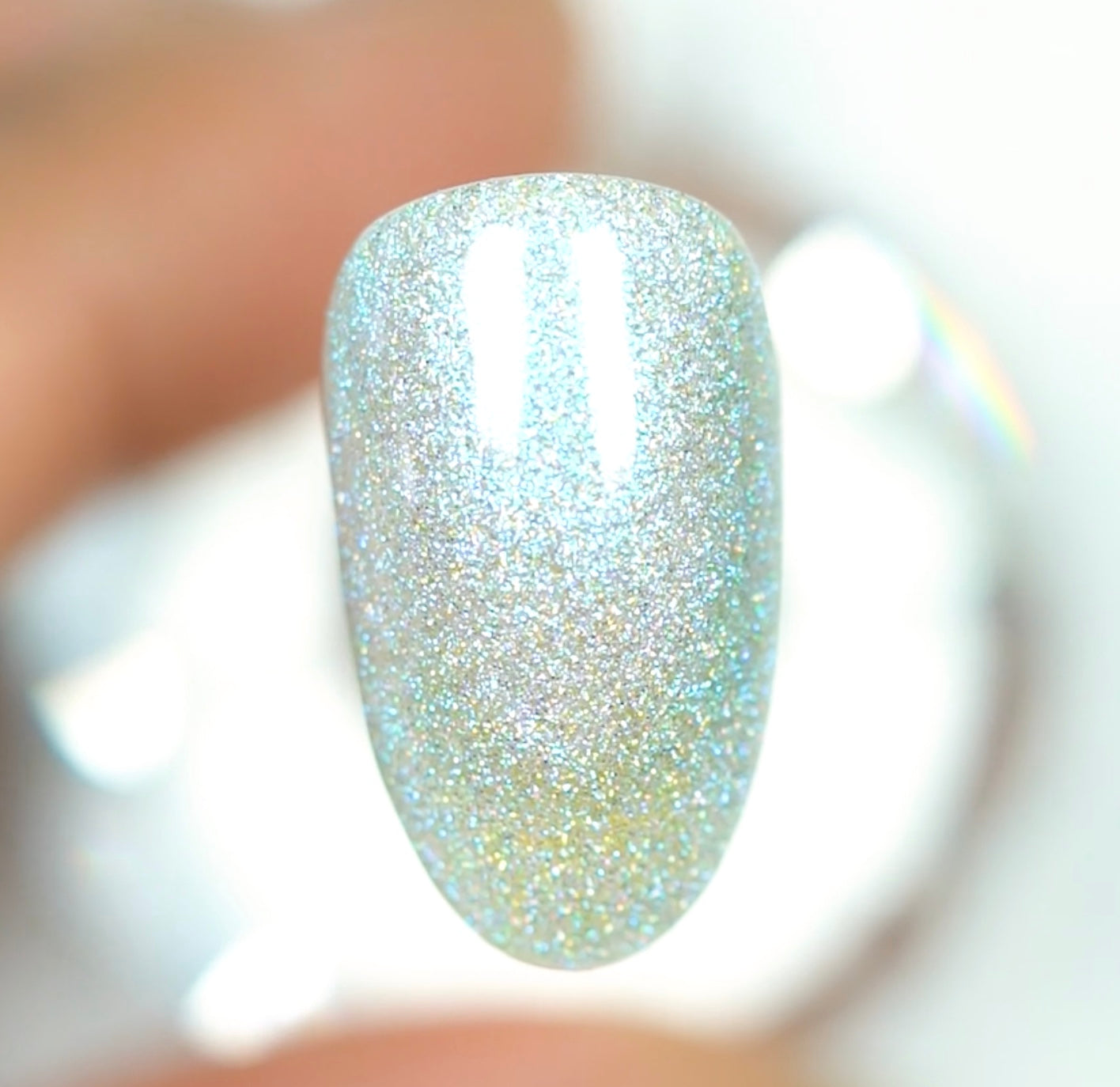 Sea Shell #240 - DC Mermaid Holographic by DND
