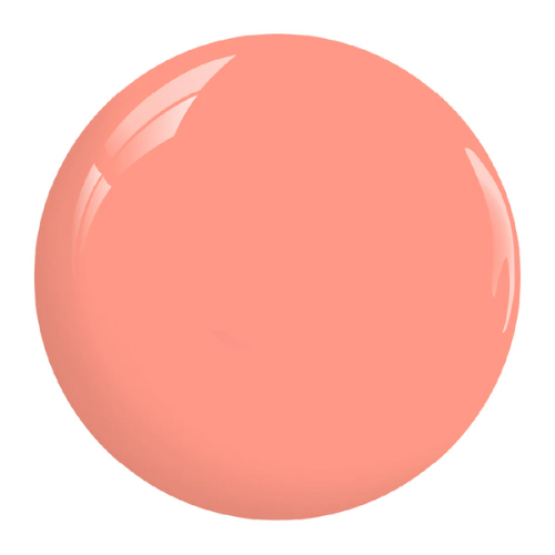 Coral Cravers DIVA #090