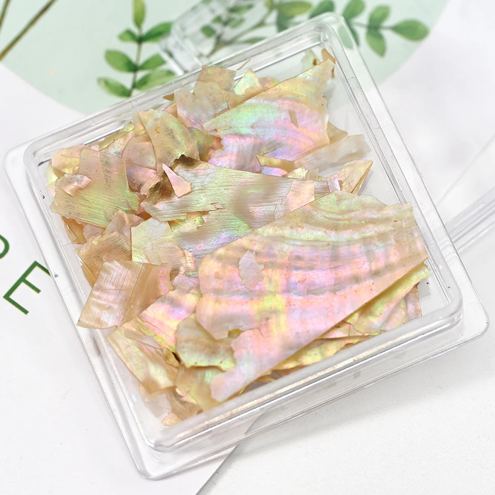 5g Abalone Shell Fragments – 3D Seashell Nail Art Charms for Gradient Nails | Ultra-Thin Natural Shell Sequins