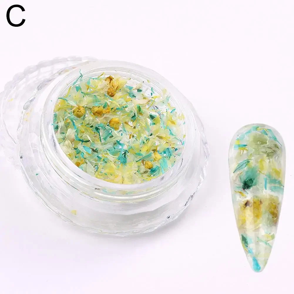 Nail Art Dried Flower Decoration – DIY Manicure Floral Nail Art