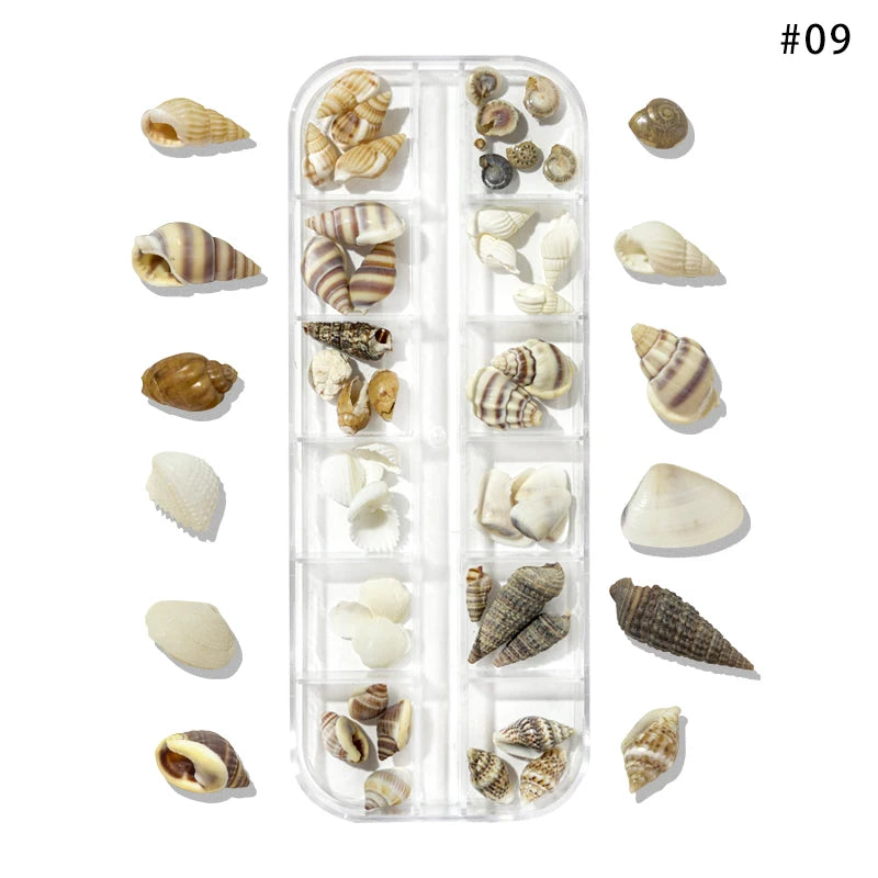 5g Abalone Shell Fragments – 3D Seashell Nail Art Charms for Gradient Nails | Ultra-Thin Natural Shell Sequins